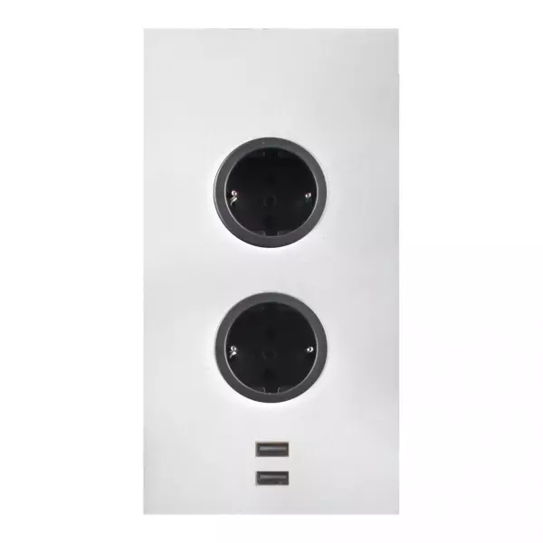 Indux Coluna de Energia 2ST22 com 2 tomadas e 2 portas USB Branco