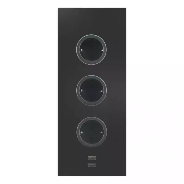 Indux Coluna de Energia 3ST29 com 3 tomadas e 2 portas USB Preto