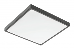 ALTAR LED Lâmpada de teto, 295x295mm, 4000K, 24W, 1680lm, AC180-250V, 50/60 Hz, PF>0.5, IP54, preto, 3 anos de garantia.