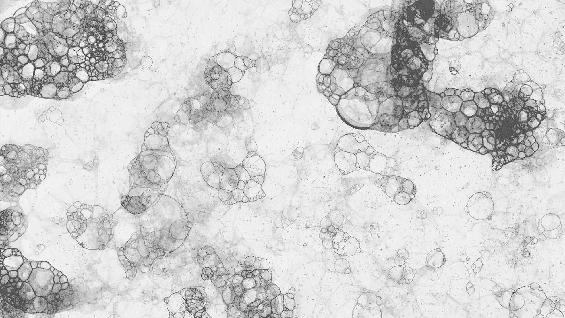 205_nl_media-1_mold-16x9.jpg